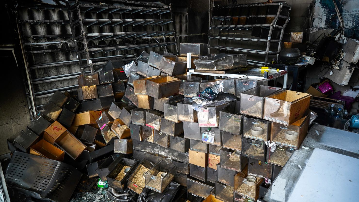 Debris and reptile cages are seen following a fire, in which exotic animals, reptiles and pets died at Chatuchak Weekend Market in Bangkok, Thailand, on Tuesday.