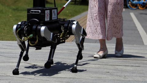 A visually impaired person walks with a six-legged robot "guide dog" during a demonstration of a field test for a Shanghai Jiao Tong University test team, in Shanghai, China June 18, 2024. REUTERS/Nicoco Chan