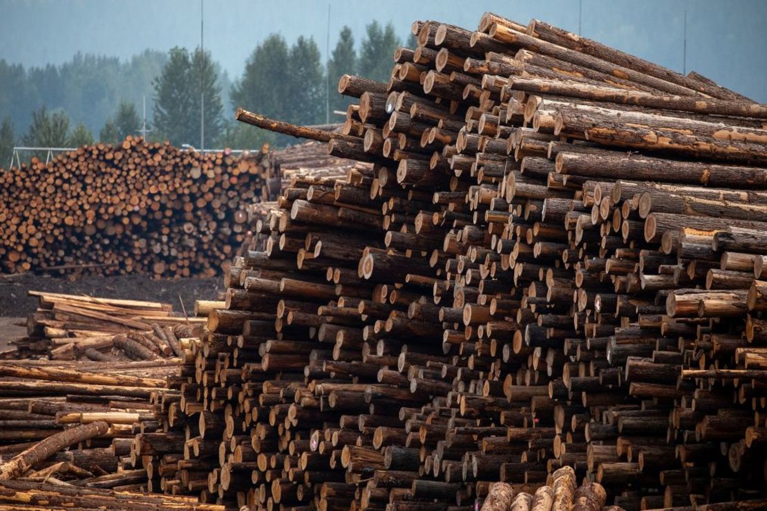 Troncos apilados en un aserradero de Revelstoke, Columbia Británica, Canadá, en agosto de 2023.