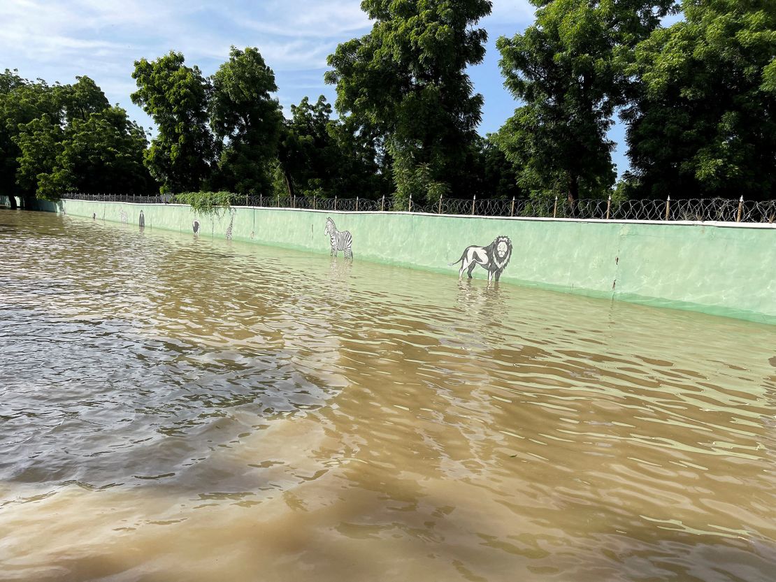 The flooded yard of Sanda Kyarimi Park Zoo is pictured in Maiduguri on September 10, 2024.