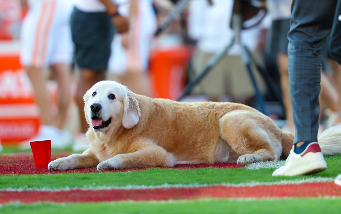 Ben on the field ahead of the Oklahoma Sooners and Tennessee Volunteers tilt.