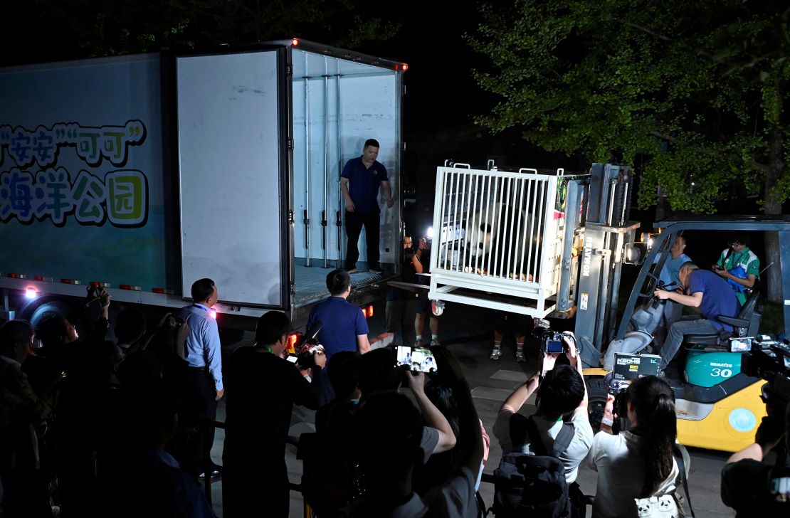 Giant panda An An is carried onto a truck as the two giant pandas make their way to Hong Kong, from the Dujiangyan Panda base in Sichuan province, China September 26, 2024.