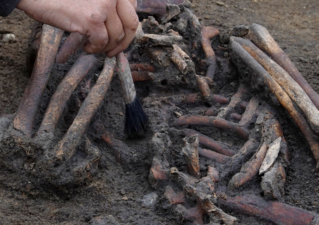 The skeletons were exceptionally well preserved due to the chalk and water in the ground.