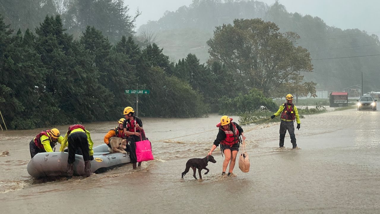 People lead their pets to safety after they were rescued from severe flooding in Boone, North Carolina, on Friday.