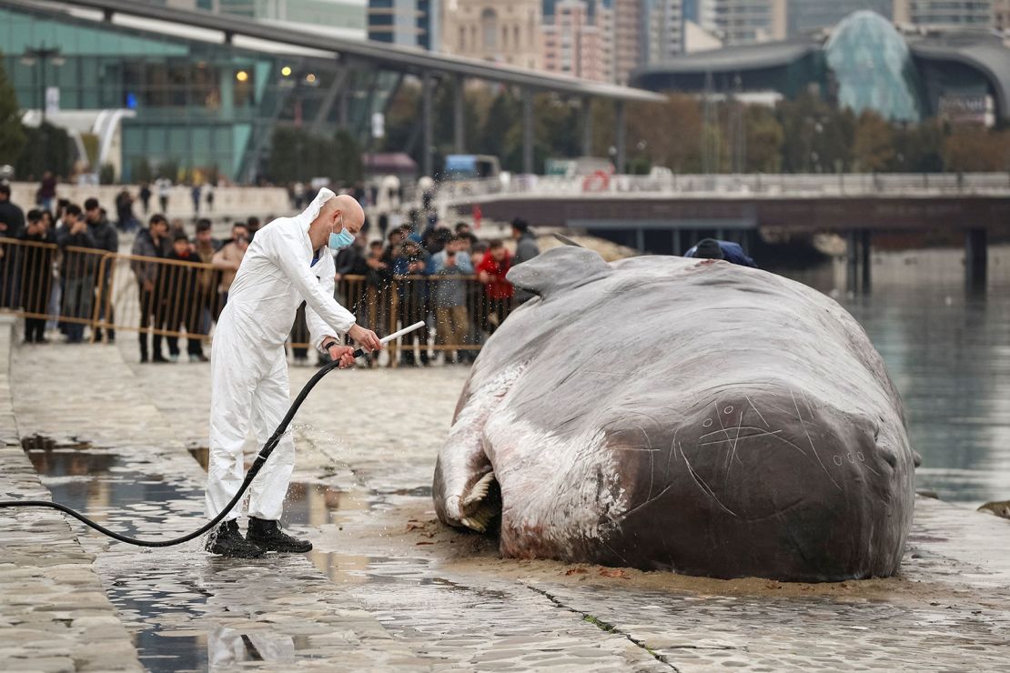 The beached whale installation lies on an embankment as a collective member hoses it down.