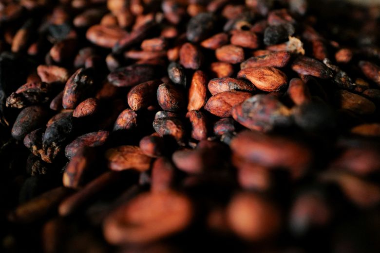 Sun-dried cocoa beans in a warehouse in Assin Foso, Ghana on November 20, 2024.