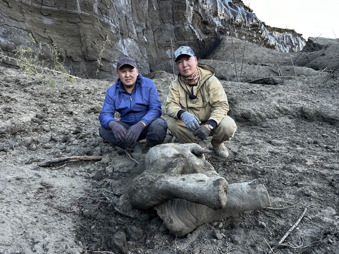 Researchers Gavril Novgorodov and Erel Struchkov pose for a picture next to the carcass of a baby mammoth, which is estimated to be over 50,000 years old.