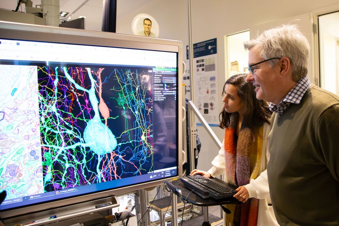 Dr. Clay Reid (right), principal investigator of the Allen for Brain Science Institute, and the doctoral student of the University of Washington, Leila Elabbady, examine data from the Microns project.