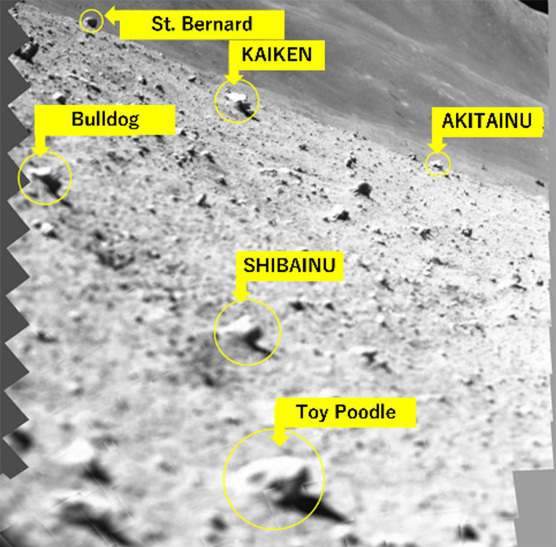 A previous mosaic of images taken by the lander's camera showcase rocks on the lunar surface that have been nicknamed based on their estimated sizes.