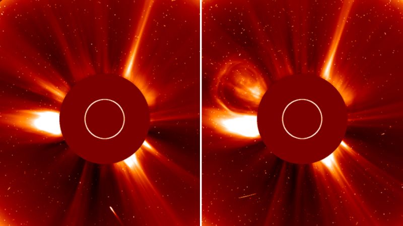 NASA zegt dat de “Halloween-komeet” zijn vlucht langs de zon niet heeft overleefd