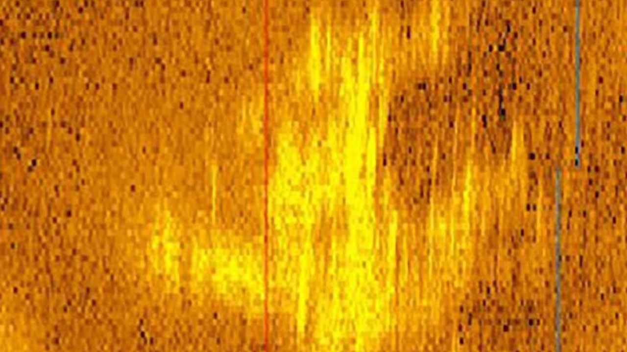 Sonar imagery revealed by Deep Sea Vision in January 2024.