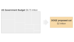 20241224-doge-card-budget___exlargetease.png