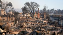 The remains of homes are seen following the Palisades Fire in the Pacific Palisades neighborhood in Los Angeles, California, U.S. January 10, 2025.