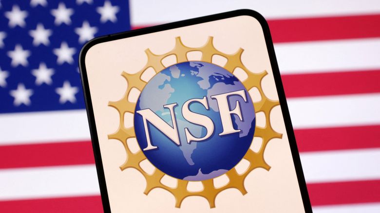United States National Science Foundation logo and U.S. flag are seen in this illustration taken April 23, 2025. REUTERS/Dado Ruvic/Illustration