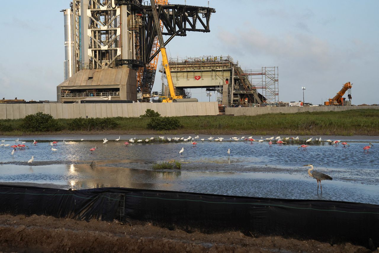 Birds gather near the SpaceX launchpad at Starbase, near Brownsville, Texas, on June 5.