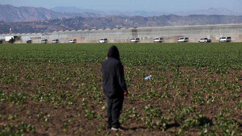 ‘Like Prime, but with human beings’: How the Trump administration is using AI to ramp up immigration enforcement