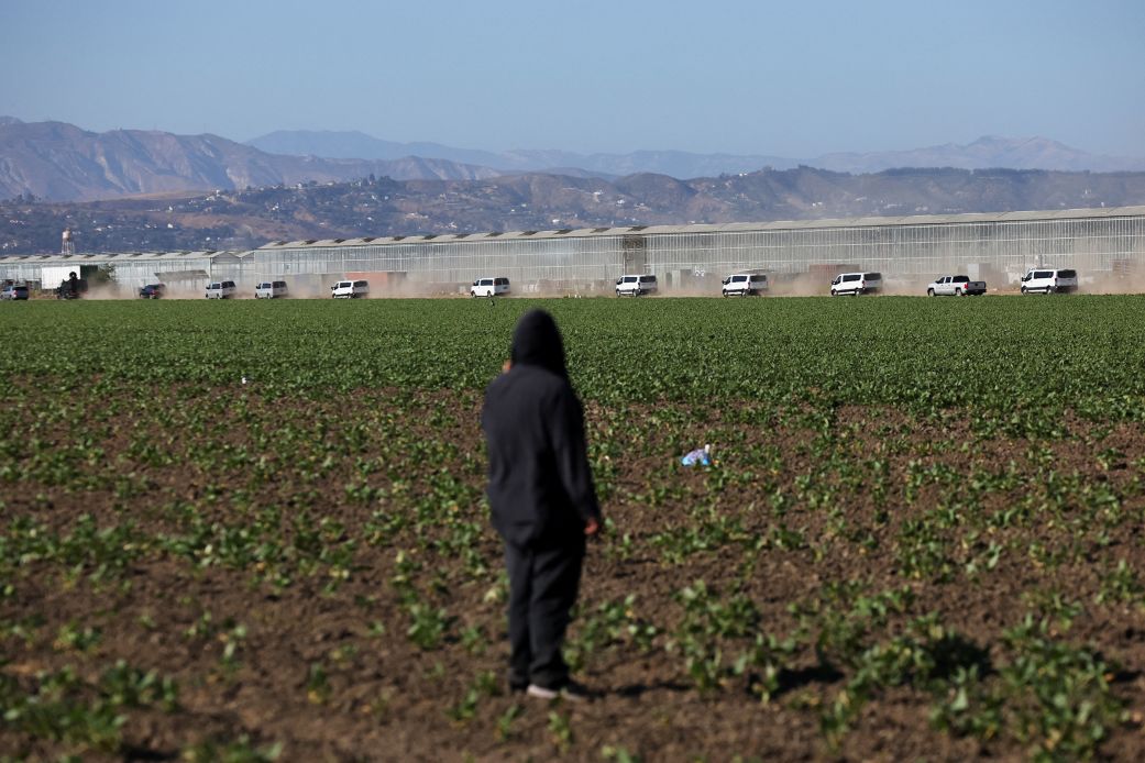 A demonstrator looks on as vans drive away from an agricultural facility in Camarillo, California, following an operation by immigration agents on July 10.