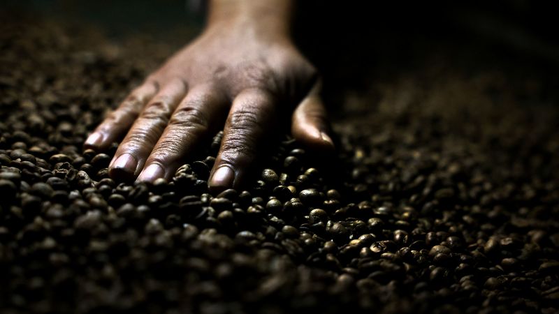 China seizes the moment to praise ‘beloved Brazilian coffee’ as Trump’s tariffs take effect