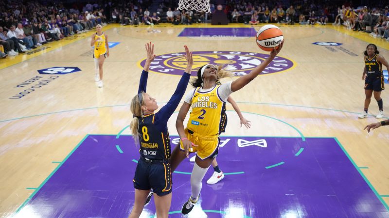 How sex toys thrown at WNBA games revealed a weird window into online culture and opened old wounds for women's sports