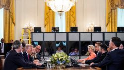 U.S. President Donald Trump meets Ukrainian President Volodymyr Zelenskiy, German Chancellor Friedrich Merz, French President Emmanuel Macron, British Prime Minister Keir Starmer, Italian Prime Minister Giorgia Meloni, Finland's President Alexander Stubb, NATO Secretary General Mark Rutte and European Commission President Ursula von der Leyen amid negotiations to end the Russian war in Ukraine, at the White House in Washington, D.C., U.S., August 18, 2025.