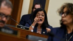 U.S. Representative Pramila Jayapal (D-WA) speaks during a House Judiciary Committee hearing with FBI Director Kash Patel (not pictured), on Capitol Hill in Washington, D.C., U.S., September 17, 2025. REUTERS/Annabelle Gordon

