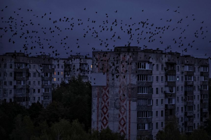 Birds fly near residential buildings during a power blackout after critical civil infrastructure was hit by a Russian military attacks in Ukraine's Chernihiv region earlier this month.