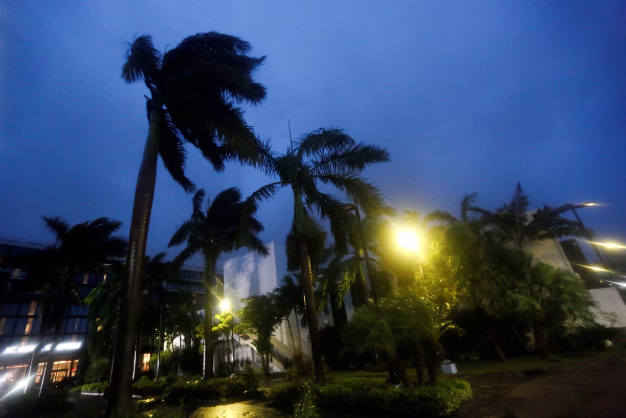 Palm trees sway in the wind in Kingston on Monday.