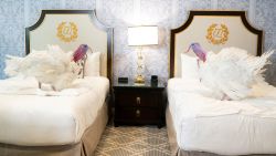 The National Thanksgiving Turkeys Waddle and Gobble, from North Carolina, wait in their room a day ahead of their Thanksgiving holiday pardoning at the White House, at the Willard InterContinental Hotel in Washington, DC, on November 24, 2025.