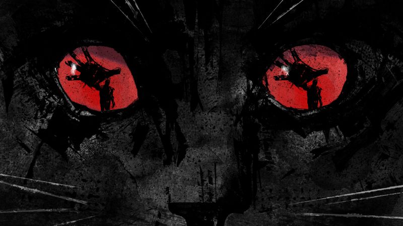 The secret war between cat lovers and the abusers who profit from cruelty The secret war between cat lovers and the abusers who profit from cruelty