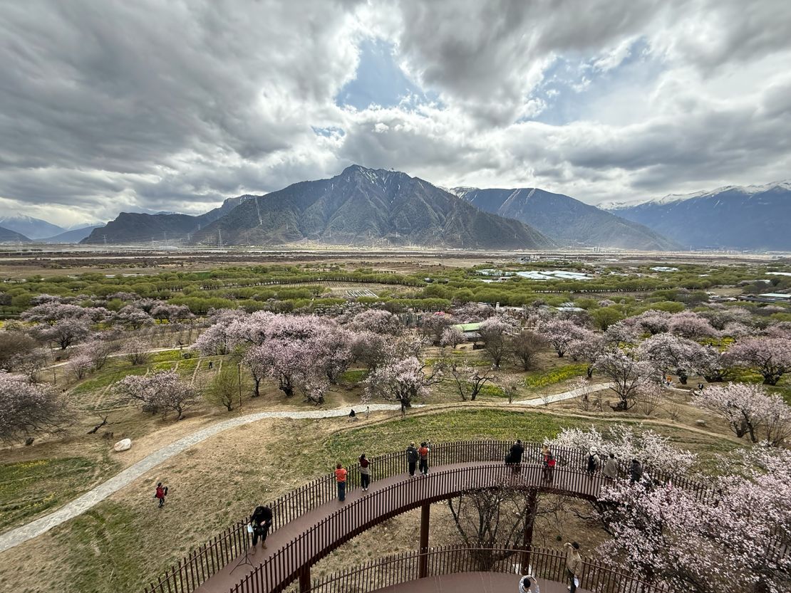 Tourists take in the view of blooming peach blossoms against a backdrop of snow-capped peaks at Gala Village, near the city of Nyingchi, Tibet.