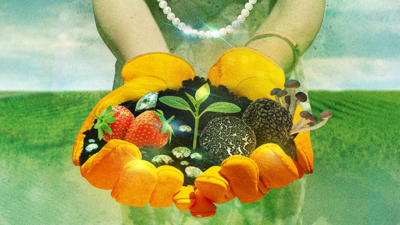 20250528-STYLE-Luxury-Farming.jpg