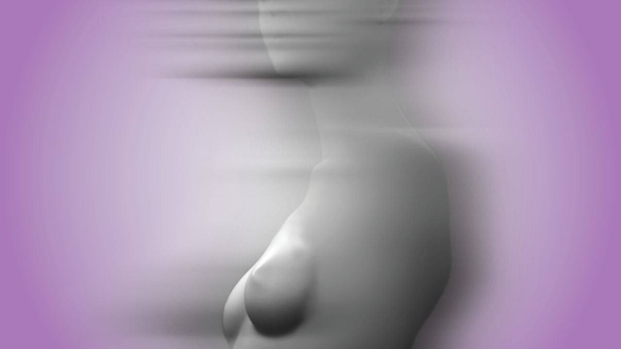 202508014-Explants-final.jpg