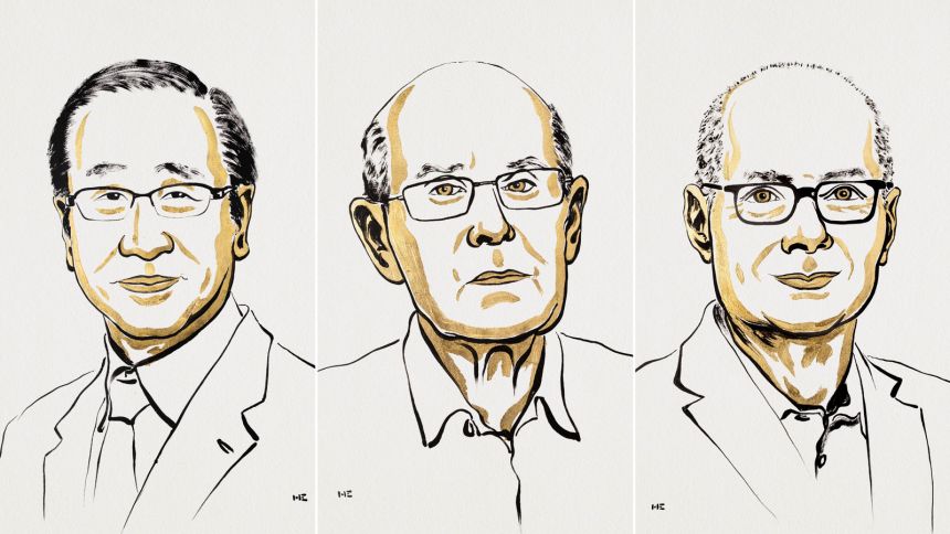 The laureates were praised for developing "a new type of molecular architecture."