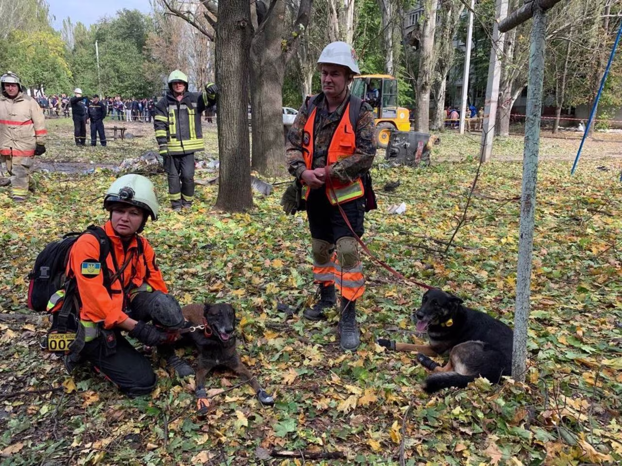 The Zaporizhzhia rescue effort after Russian missile strikes Sunday included eight teams using dogs to search for survivors.