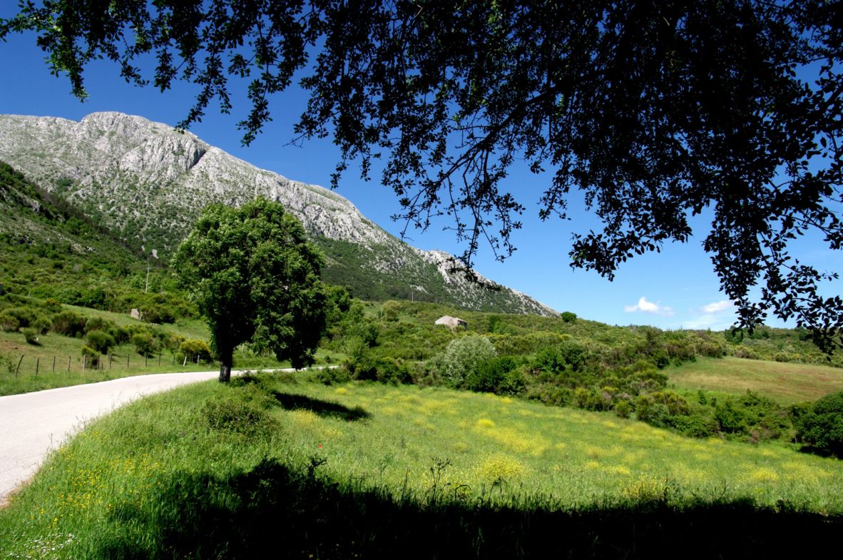 <strong>Idyllic location: </strong>“What touches me the most is the simpleness of living in Latronico,” she says. “In my professional life I have done and been responsible for so much. It is nice to be able to relax, enjoy life and people, and just breathe."