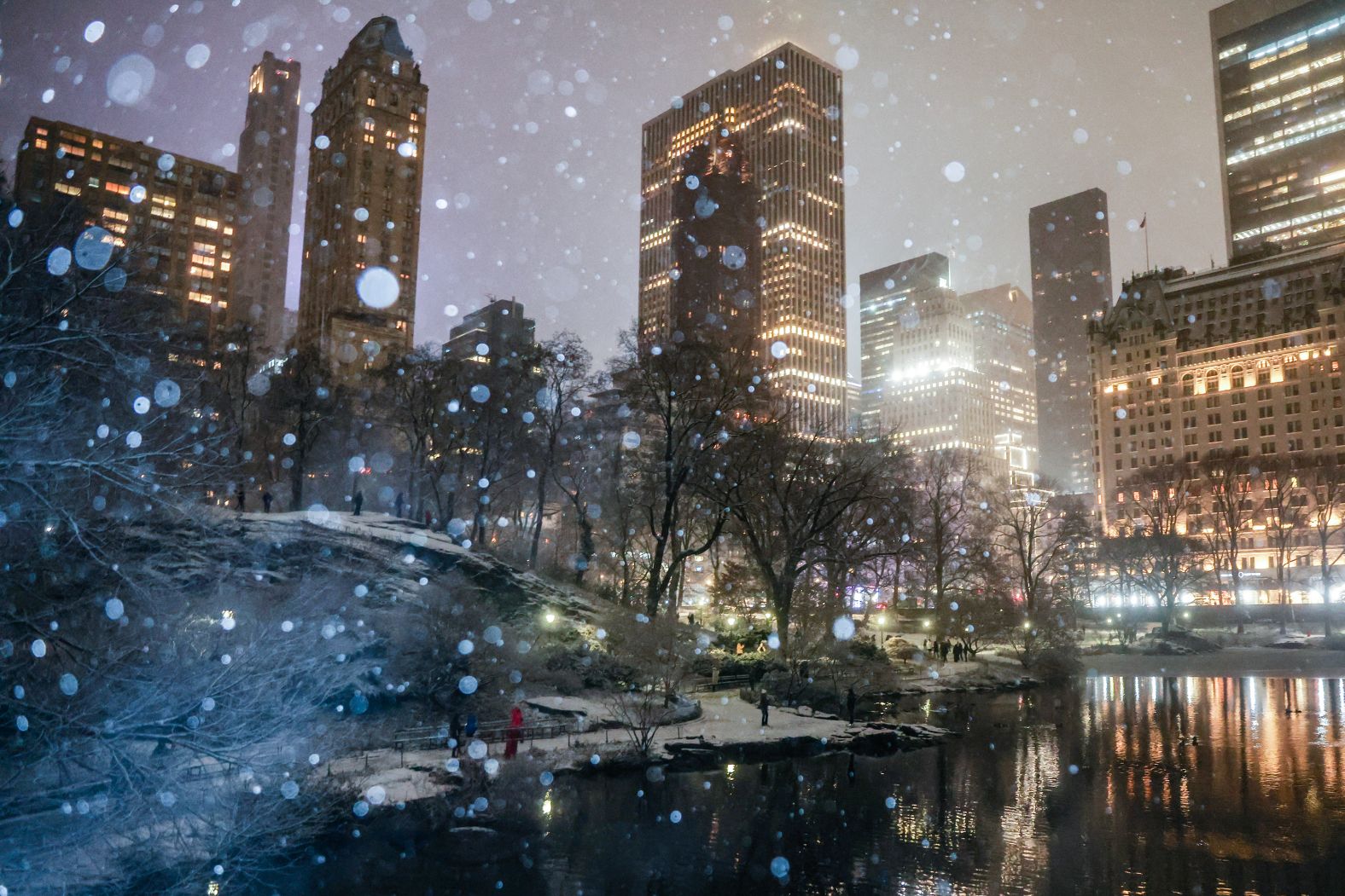 Snow falls in New York’s Central Park on Sunday, January 19.