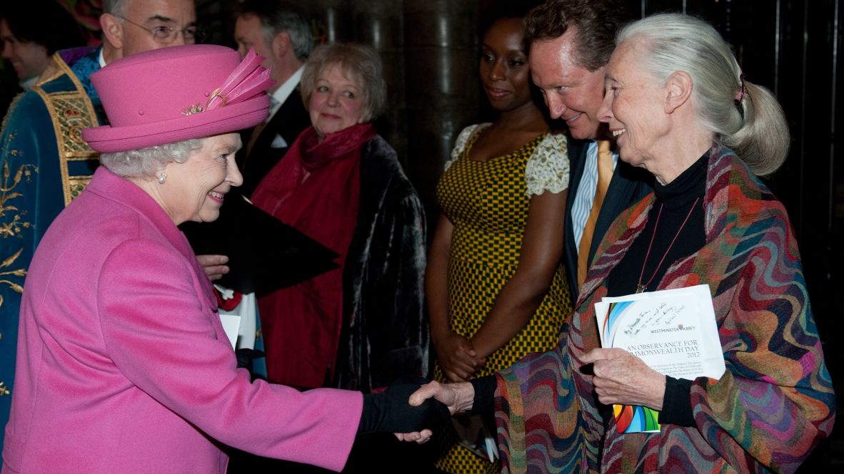 Goodall shakes hands with Britain's Queen Elizabeth II after a Commonwealth Day Observance Service in London in 2012.