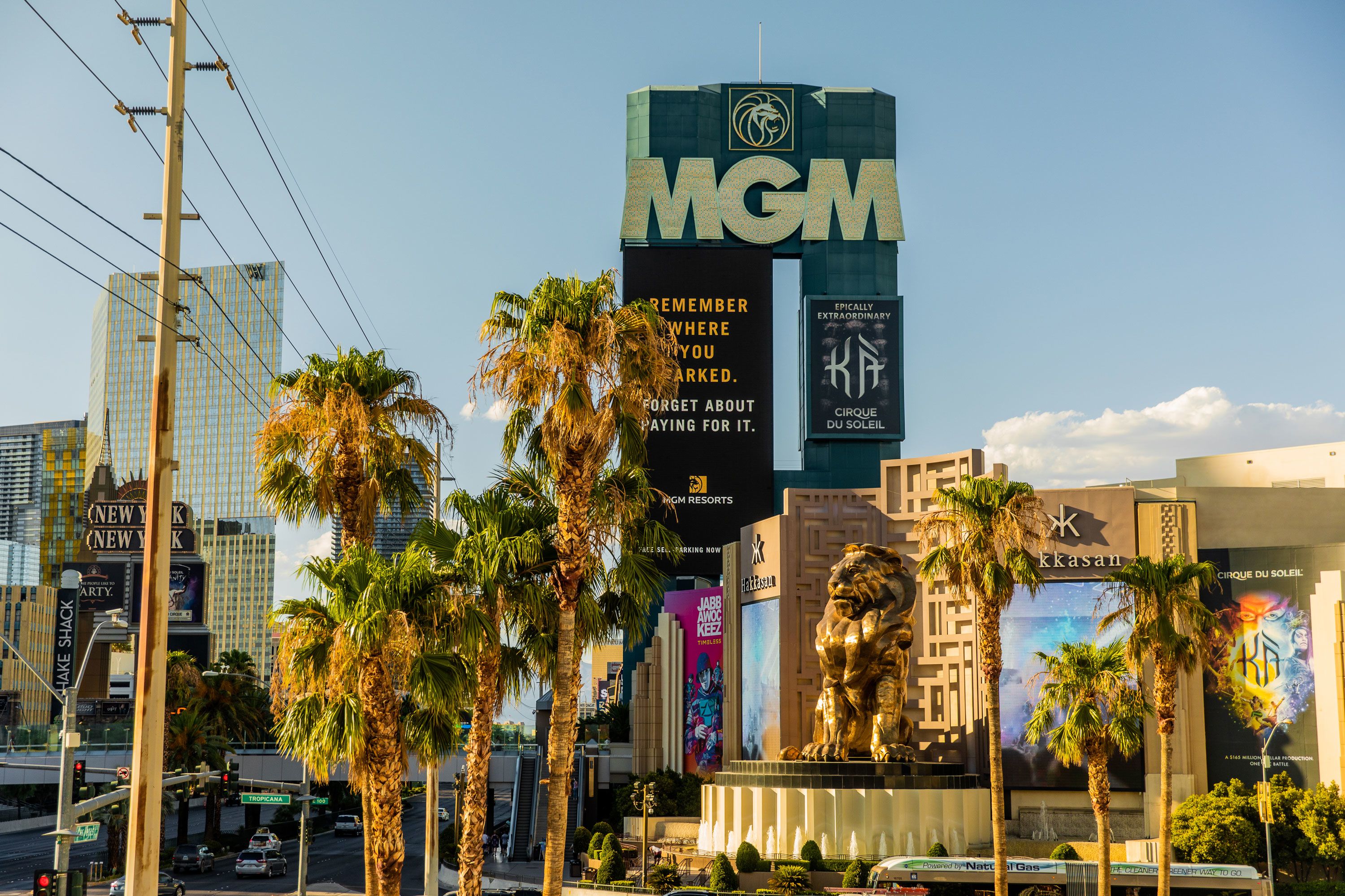 MGM Resorts International (Tii:MGM)