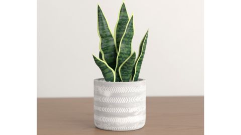 Foundstone 6.5-Inch Artificial Snake Plant in Pot