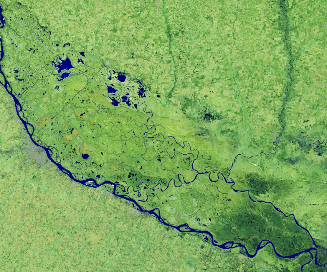 On July 3, 2020, the Operational Land Imager on Landsat 8 captured this false-color image of the river near Rosario, a key port city in Argentina.