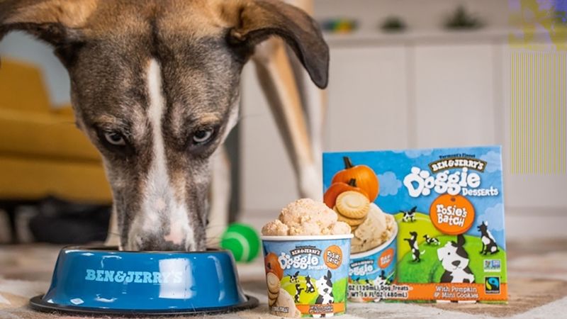 Ben and jerry's for dogs new arrivals