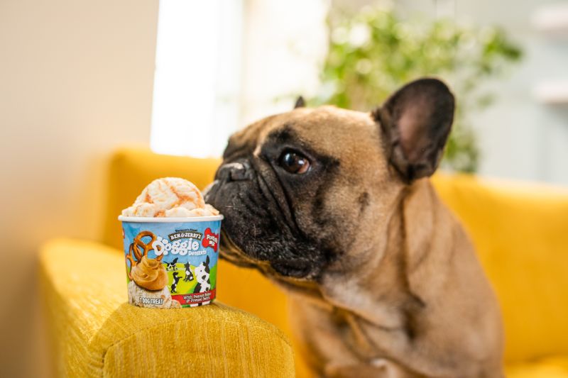 ben and jerrys frozen dog treats