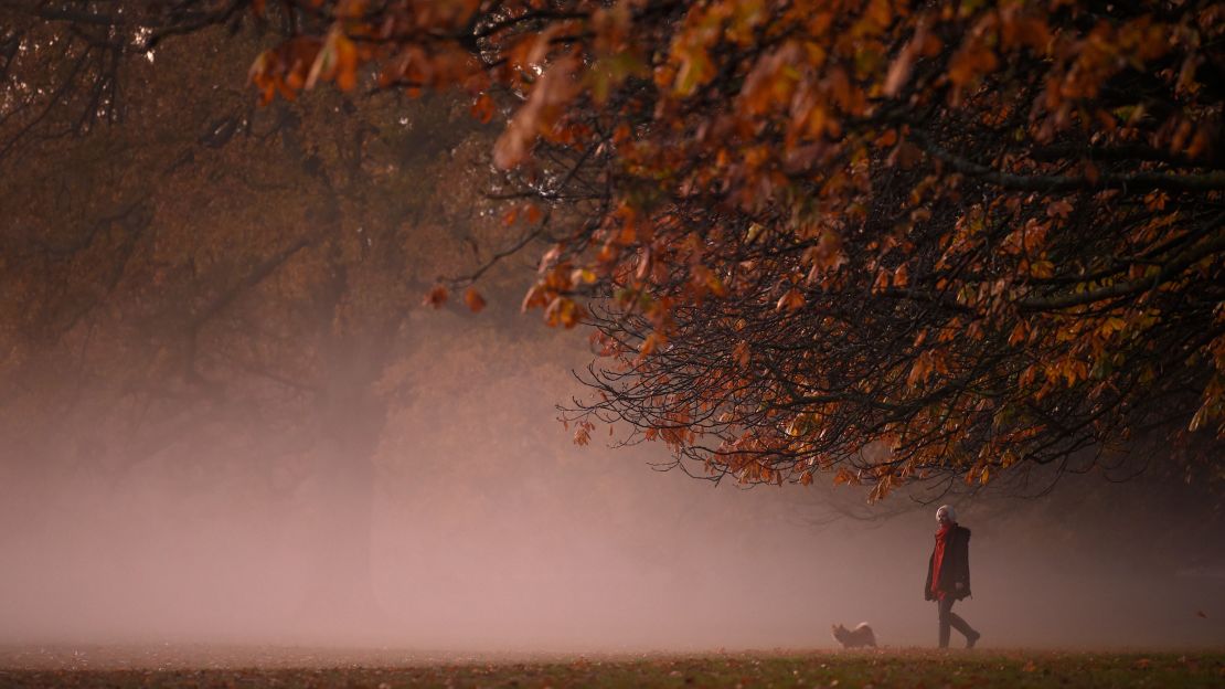 A person walks a dog in the morning mist at sunrise in Greenwich Park in south London on November 9, 2020. Some remote workers are doing fake commutes for work-life balance. 