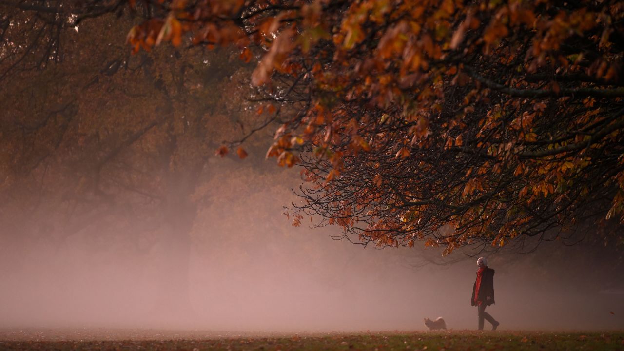 A person walks a dog in the morning mist at sunrise in Greenwich Park in south London on November 9, 2020. Some remote workers are doing fake commutes for work-life balance. 