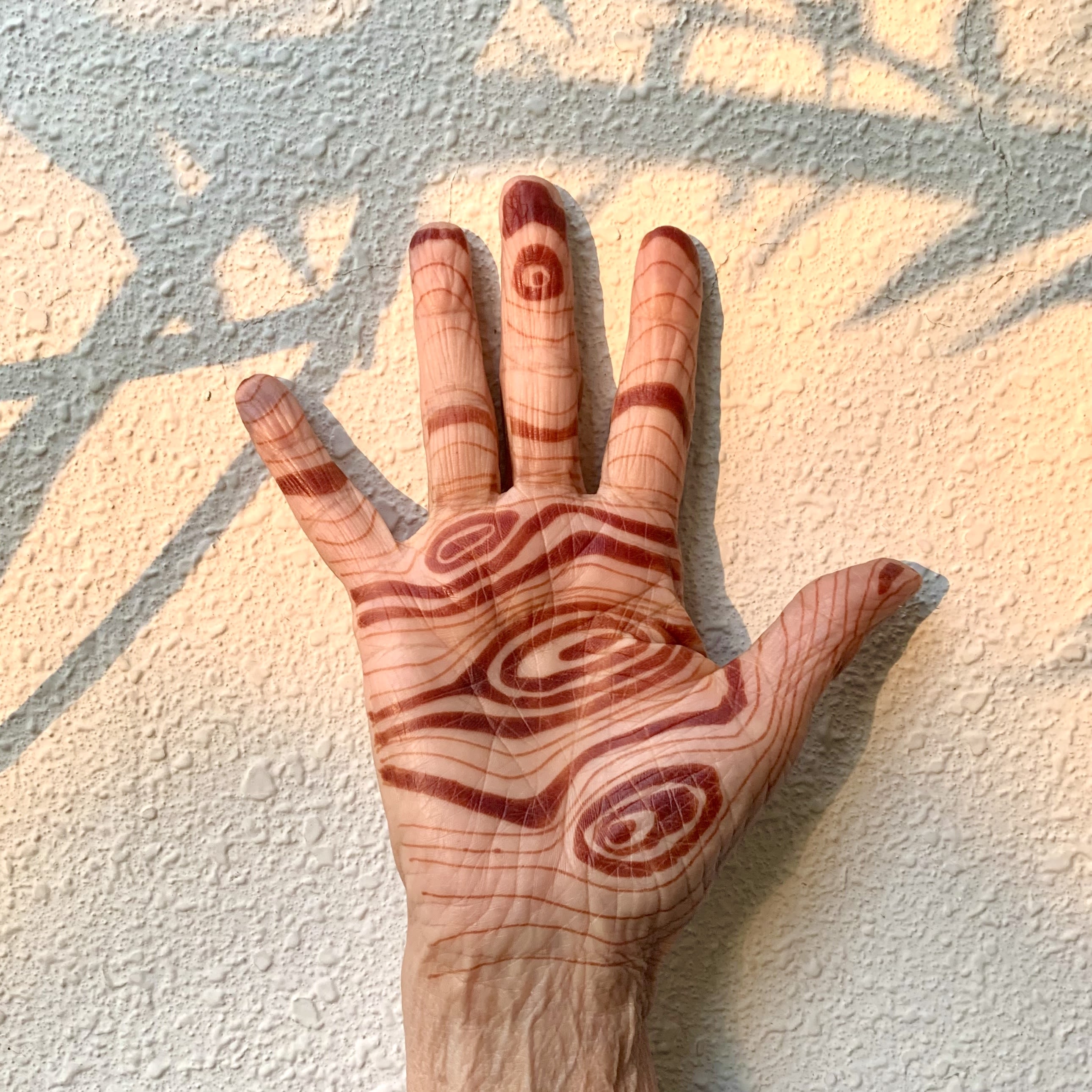Les Benjamins Taps Henna Artist Dr. Azra for Peace in the Middle East  Collab
