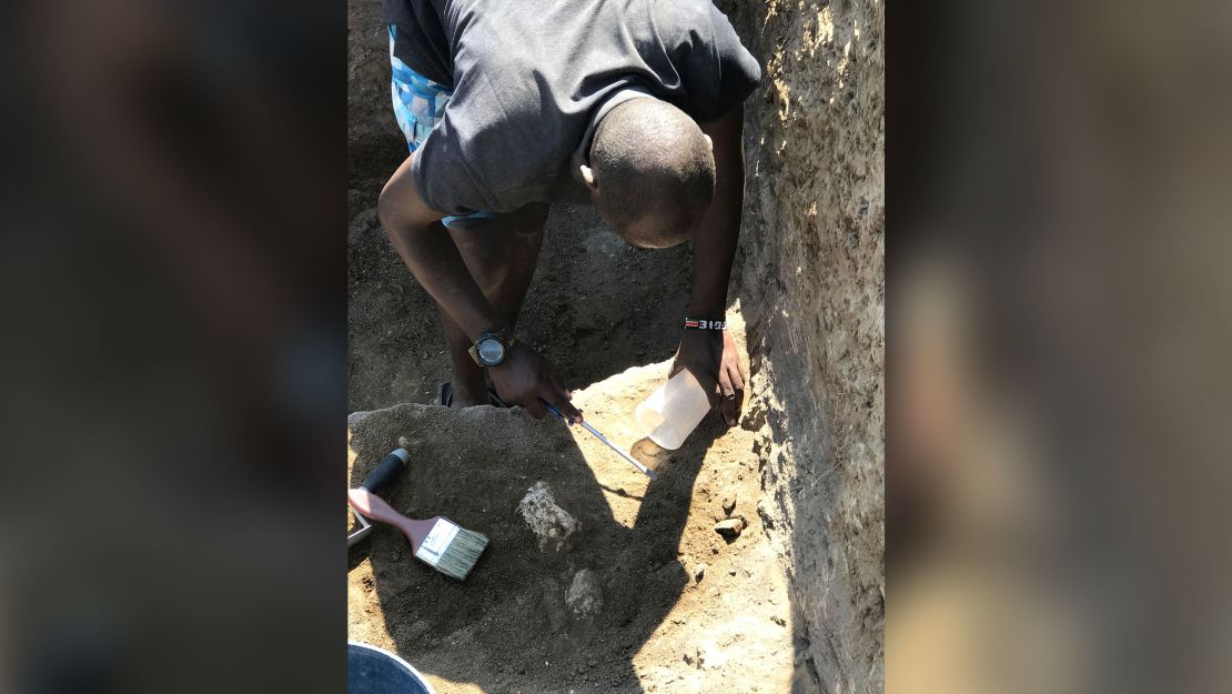 During the excavations, fossils and the oldest known Oldowan stone tools were found. Oldowan referrs to the Lower Paleolithic culture of Africa from about 1.5 to 2 million years ago. 