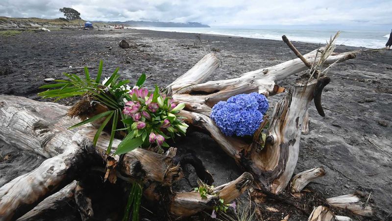 New Zealand woman, 19, dies after suspected shark attack | CNN