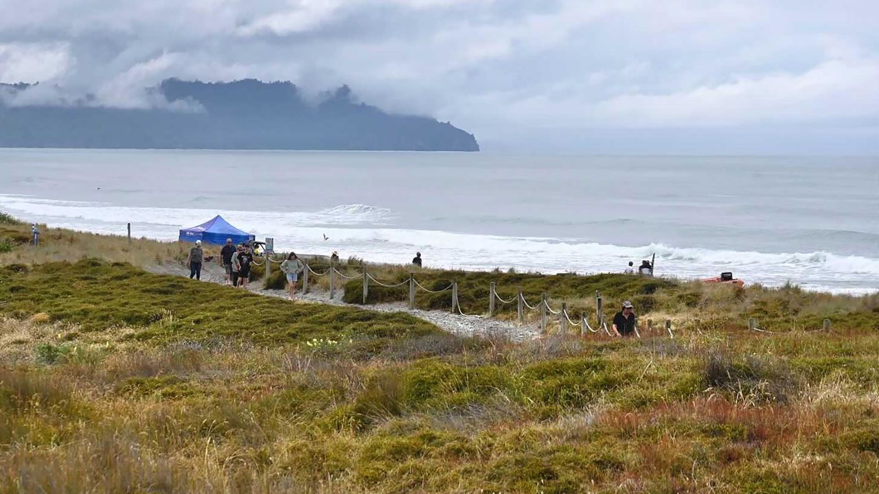 New Zealand woman, 19, dies after suspected shark attack | CNN