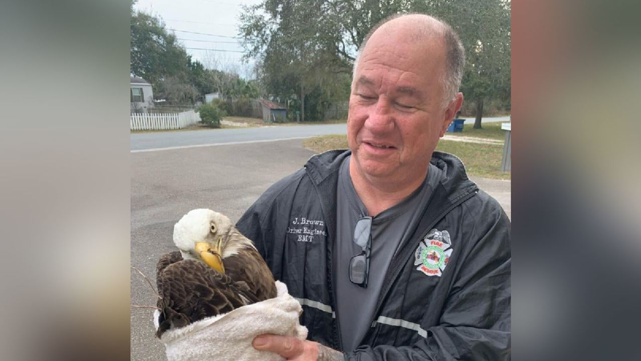 After firefighters realized the bird was in distress, they called a local wildlife sanctuary for help.
