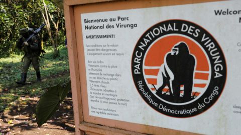 A Virunga park ranger walks past a sign inside the Virunga National Park near the eastern Congolese city of Goma in the Democratic Republic of Congo, August 9, 2019.Picture taken August 9, 2019 REUTERS/Baz Ratner